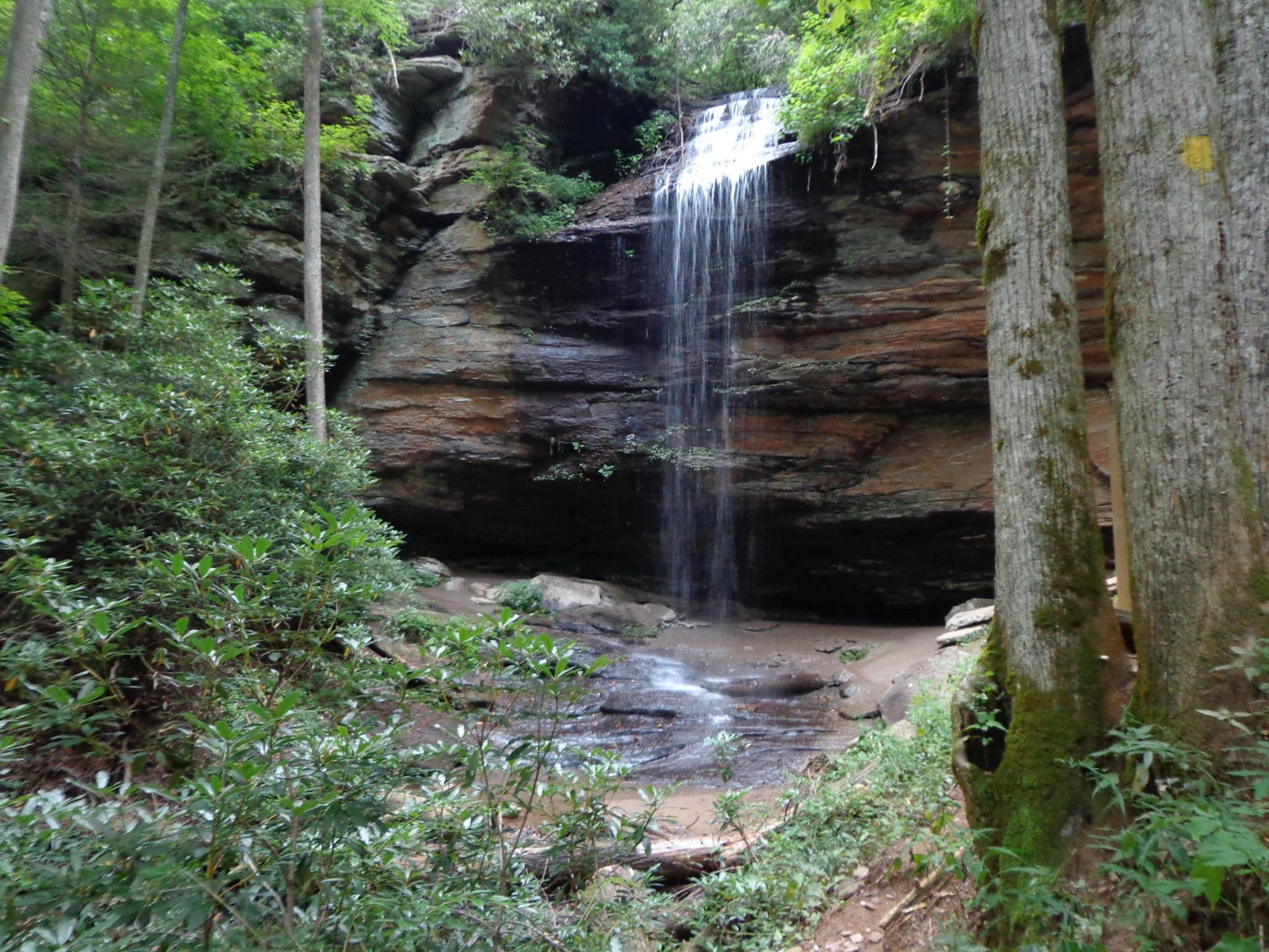 Moore Cove Falls Trail