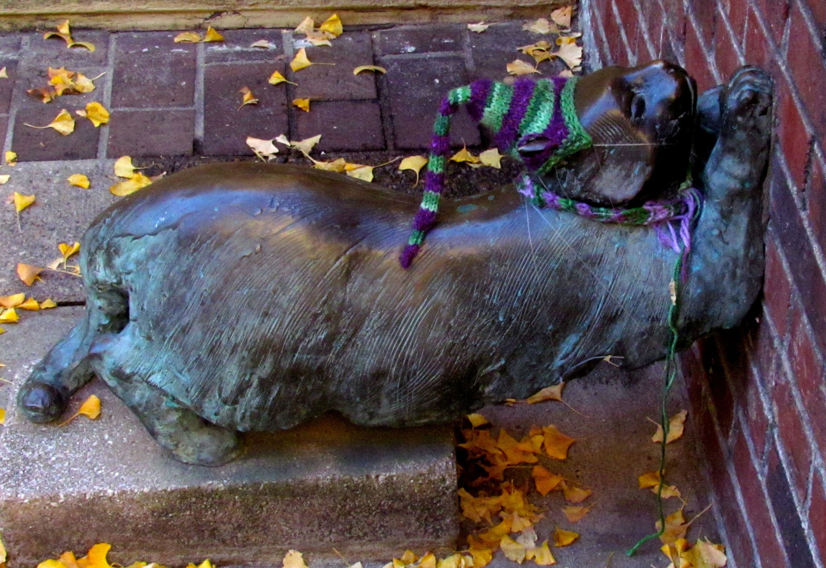 Asheville Urban Trail - Cat Walk