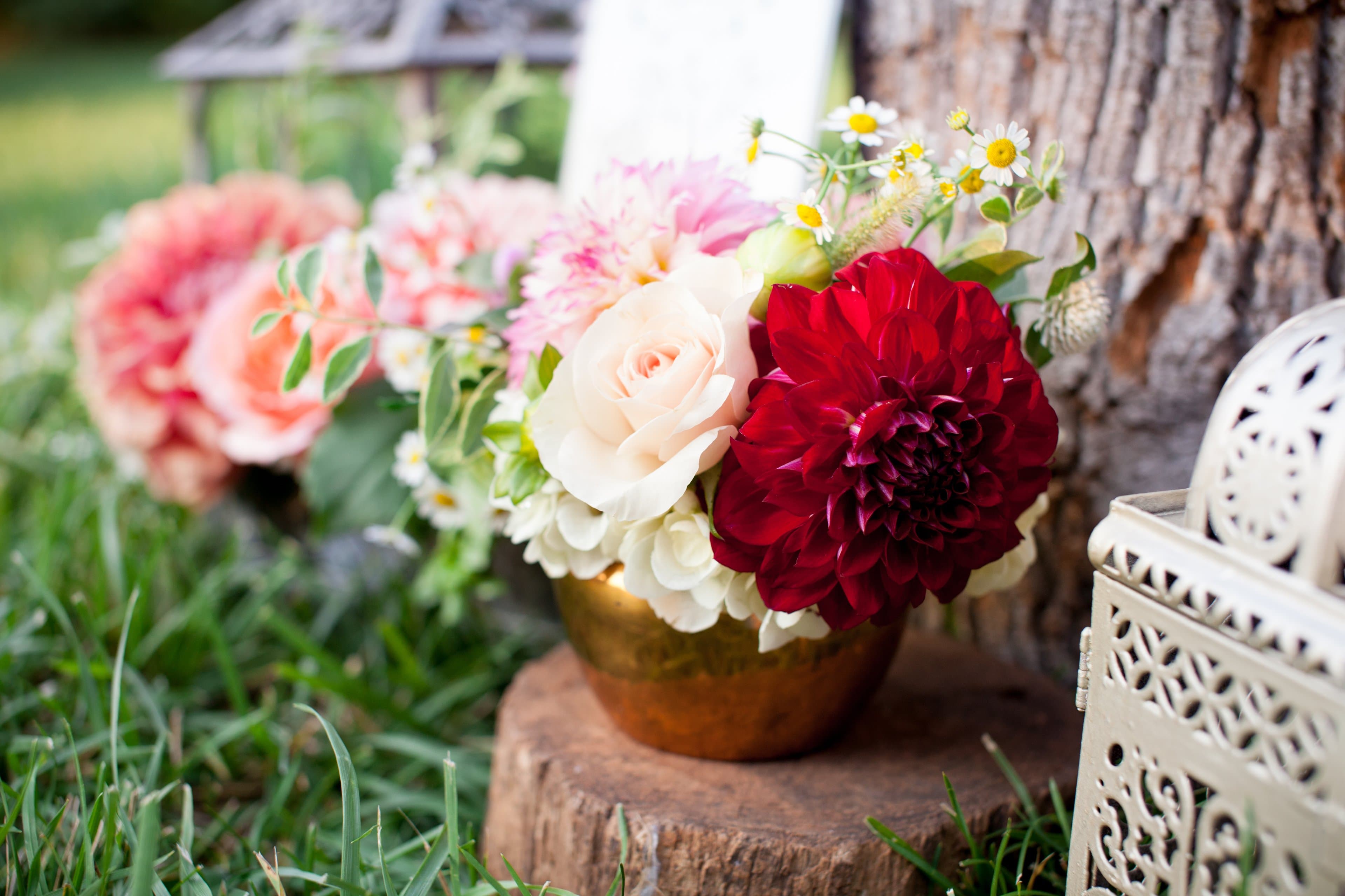 CURVE Garden by Jennifer Callahan