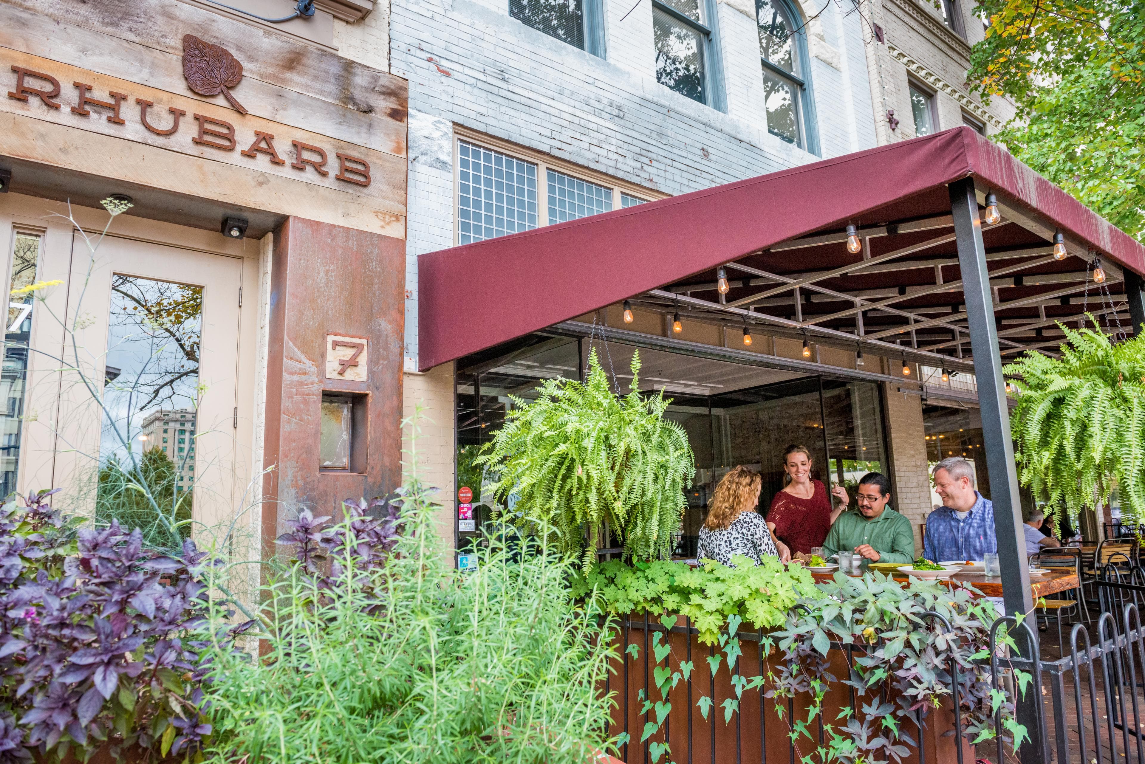 Rhubarb, Downtown Asheville Rhubarb, Downtown Asheville
