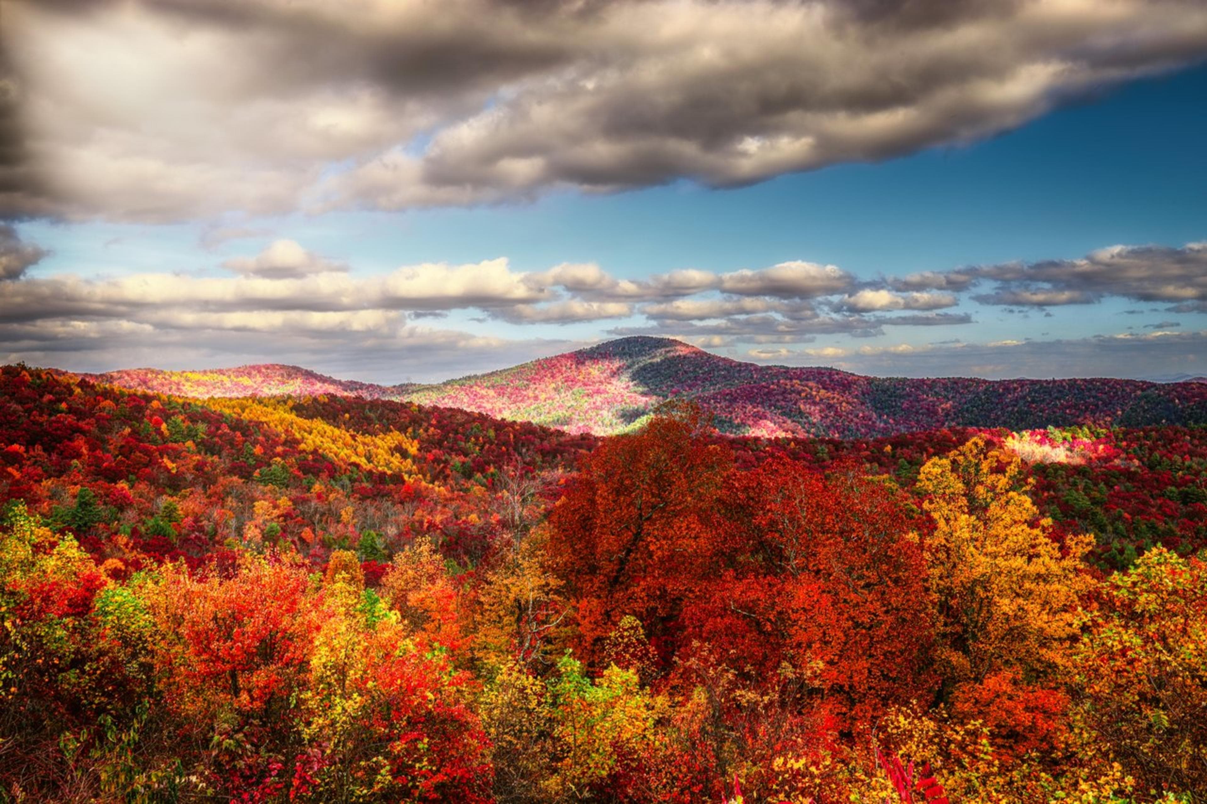 Fall in Asheville: Color Forecast 2023 Fall in Asheville NC: Color Forecast 2023
