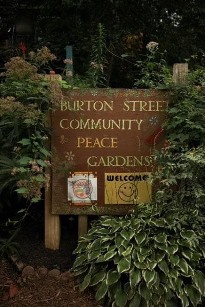 The Burton Street Community Peace Garden in Asheville, NC The Burton Street Community Peace Garden in Asheville, NC