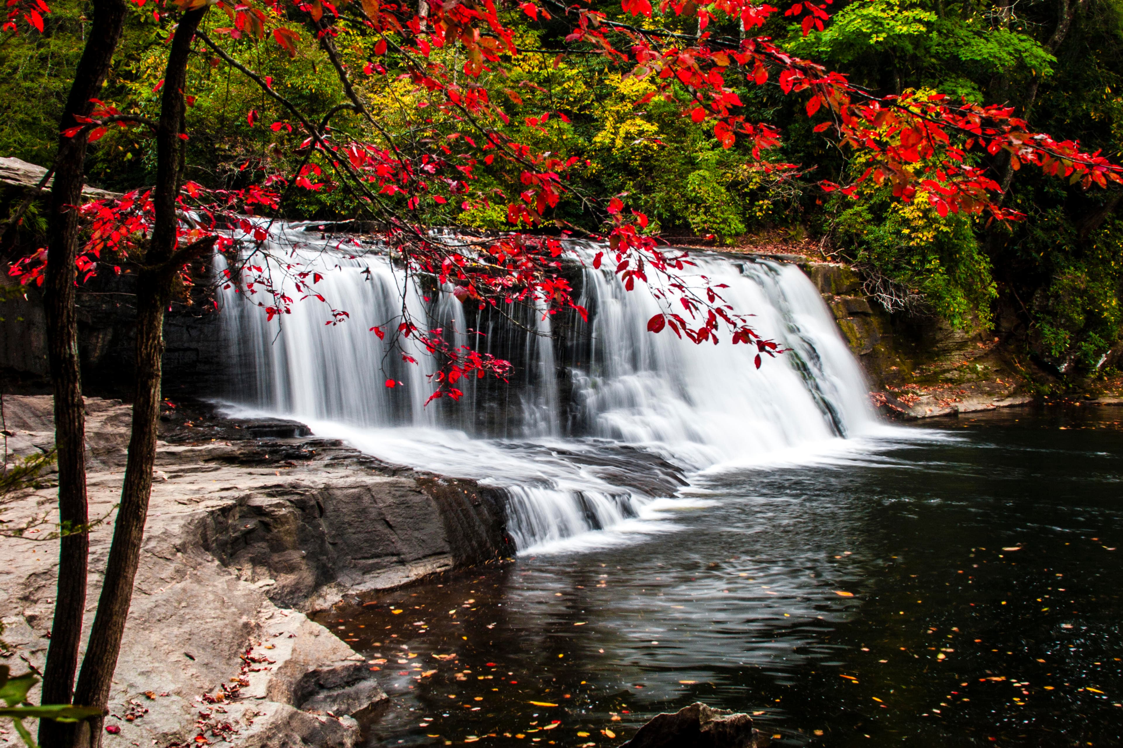 Asheville Area Waterfalls Hooker Falls
