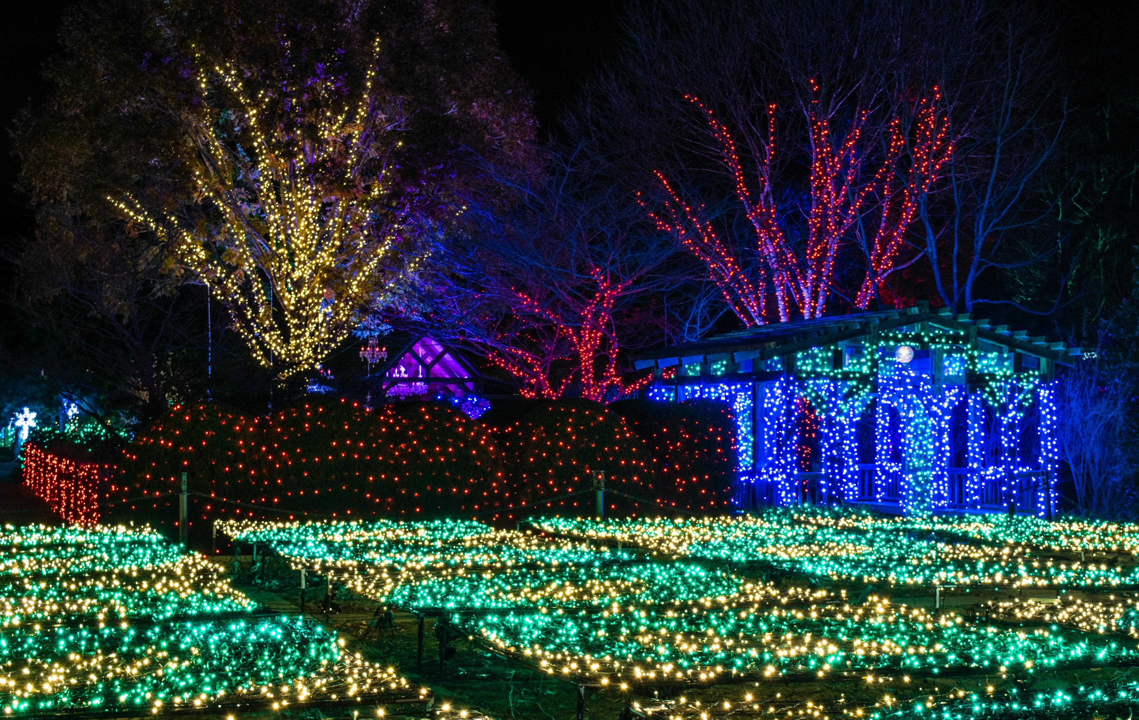 Winter Lights at the North Carolina Arboretum in Asheville Winter Lights at the North Carolina Arboretum in Asheville