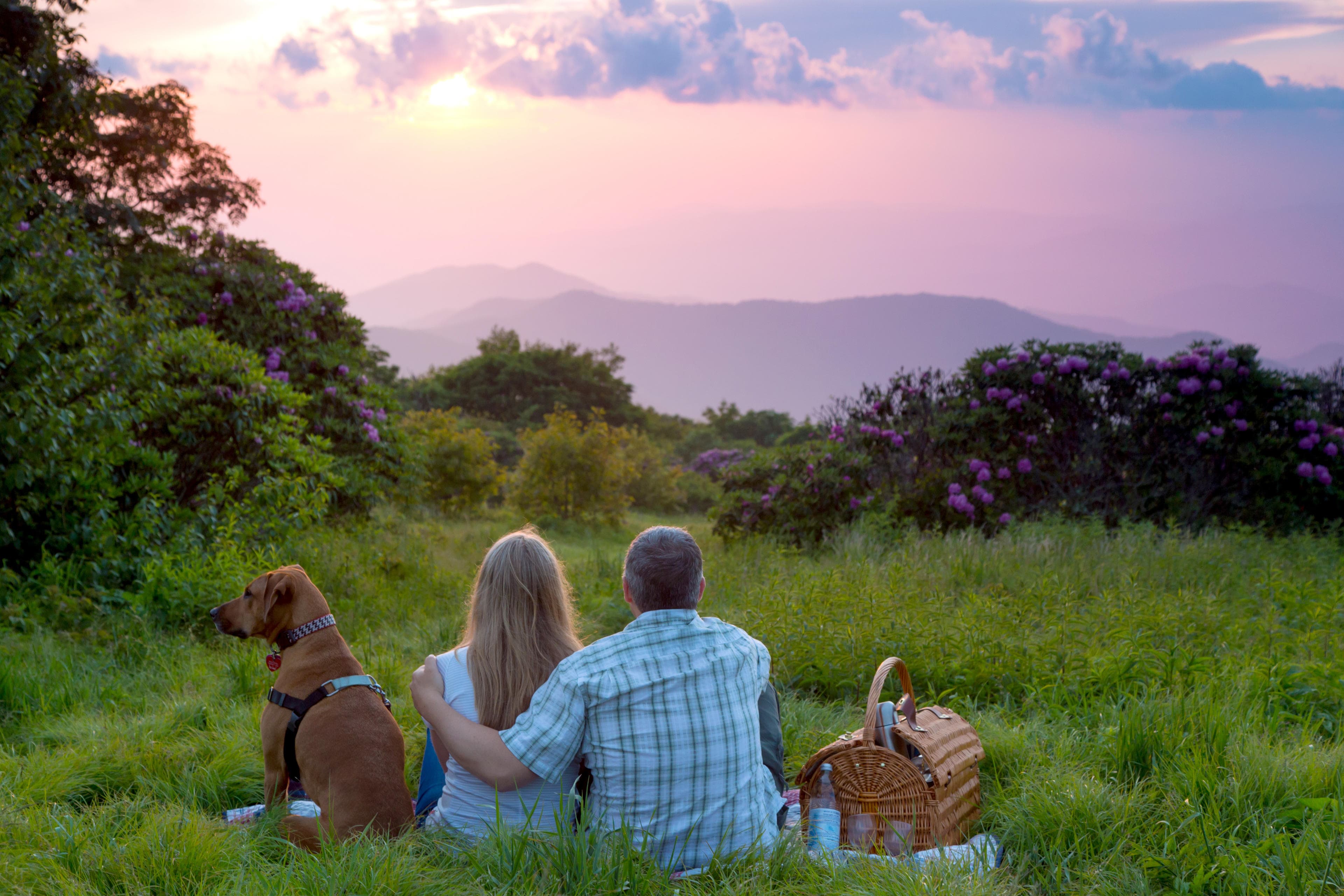 Super Scenic Picnics with 360-Degree Views Two people and a dog sit on a picnic blanket overlooking a beautiful mountain sunset near Asheville