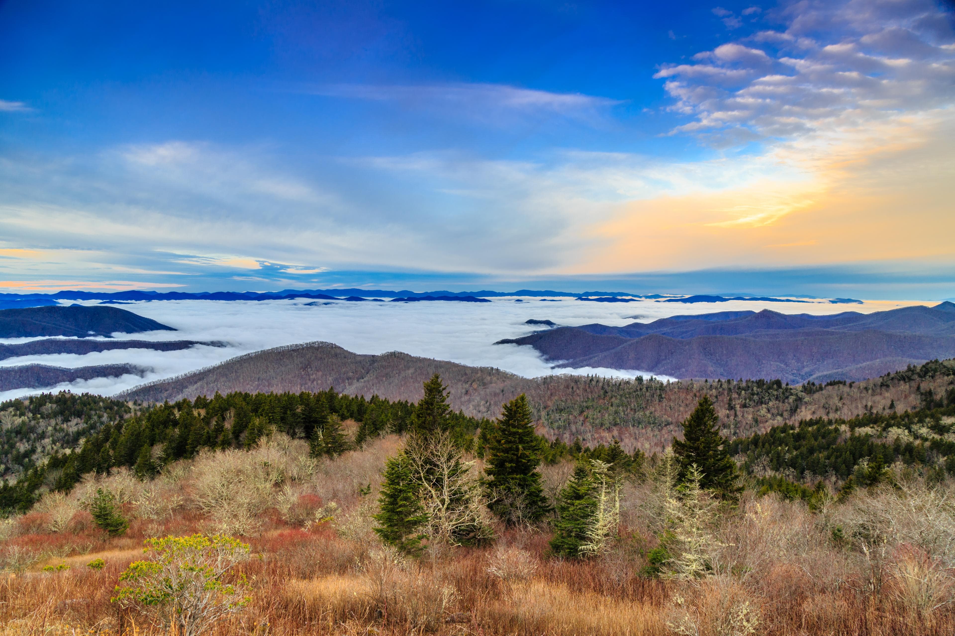 The Ultimate Asheville Winter Vacation Itinerary The Ultimate Asheville Winter Vacation Itinerary