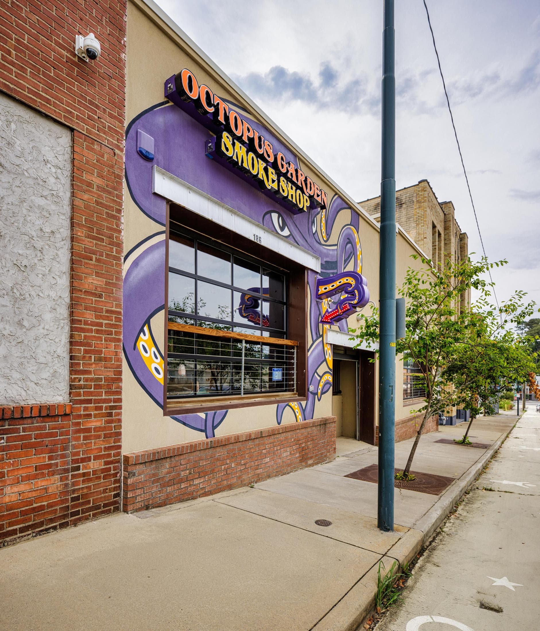 Twisted Tentacles Octopus Garden - "Twisted Tentacles"