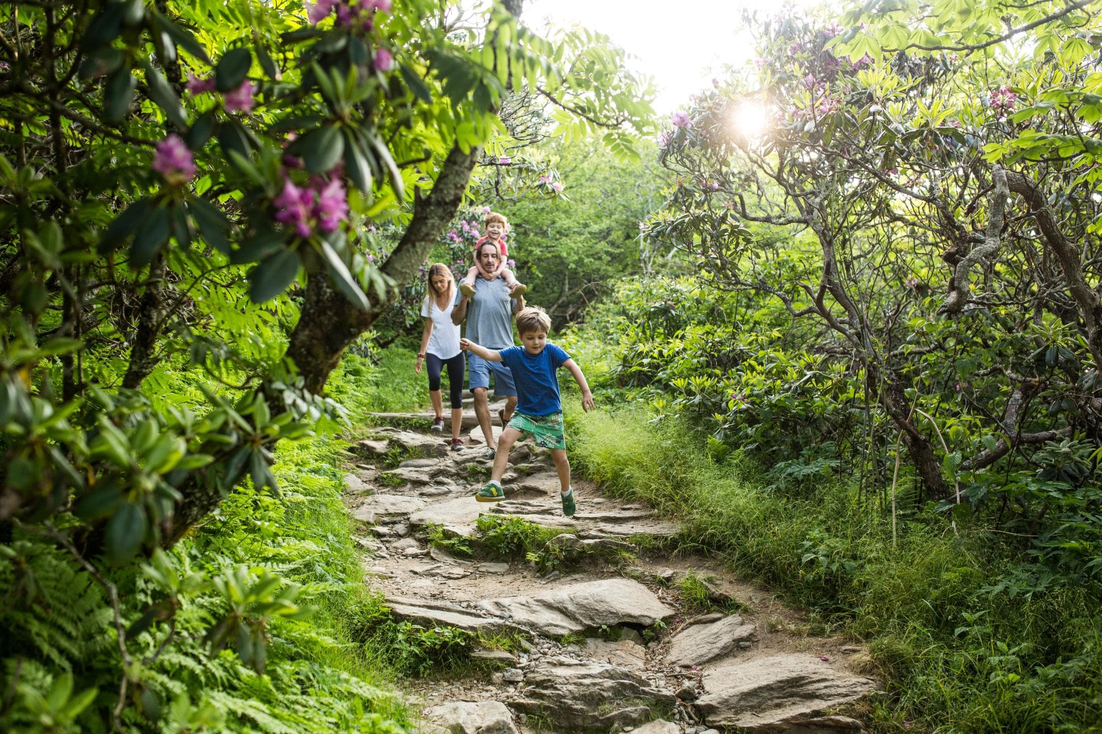 Hiking Craggy Gardens Family on Craggy Gardens Trail