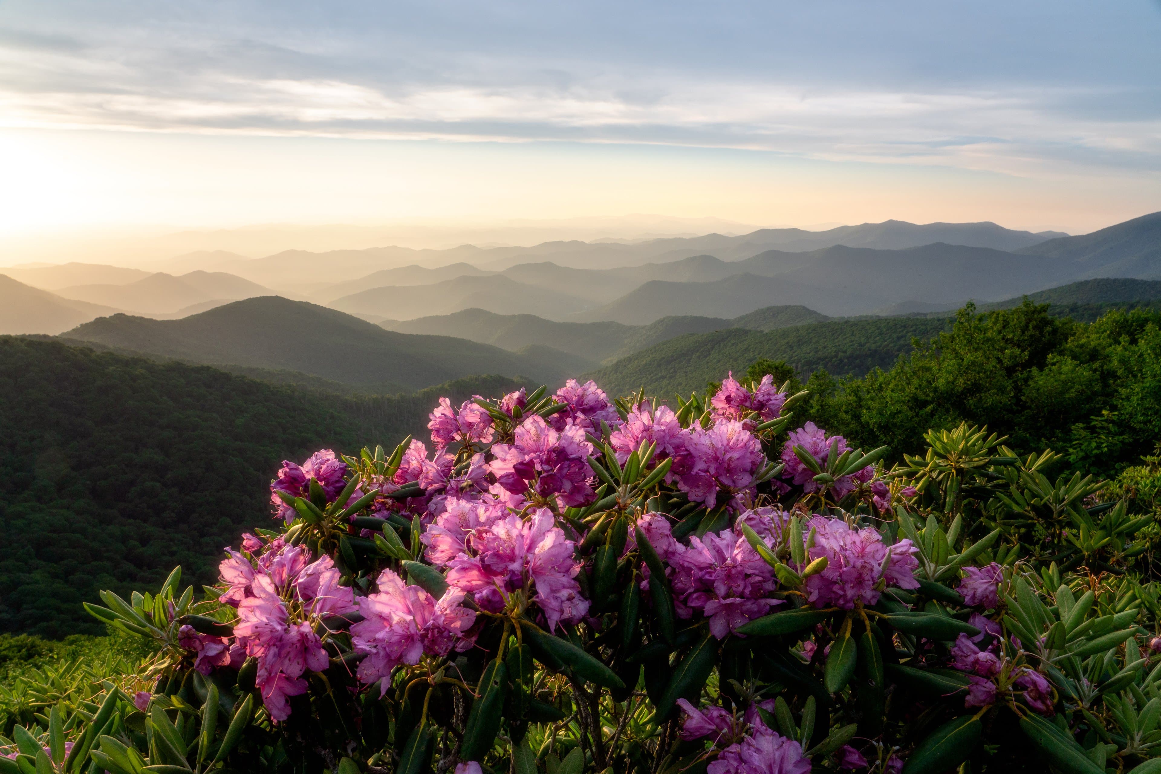 Craggy Pinnacle Trail Craggy Pinnacle / Photo: J Smilanic