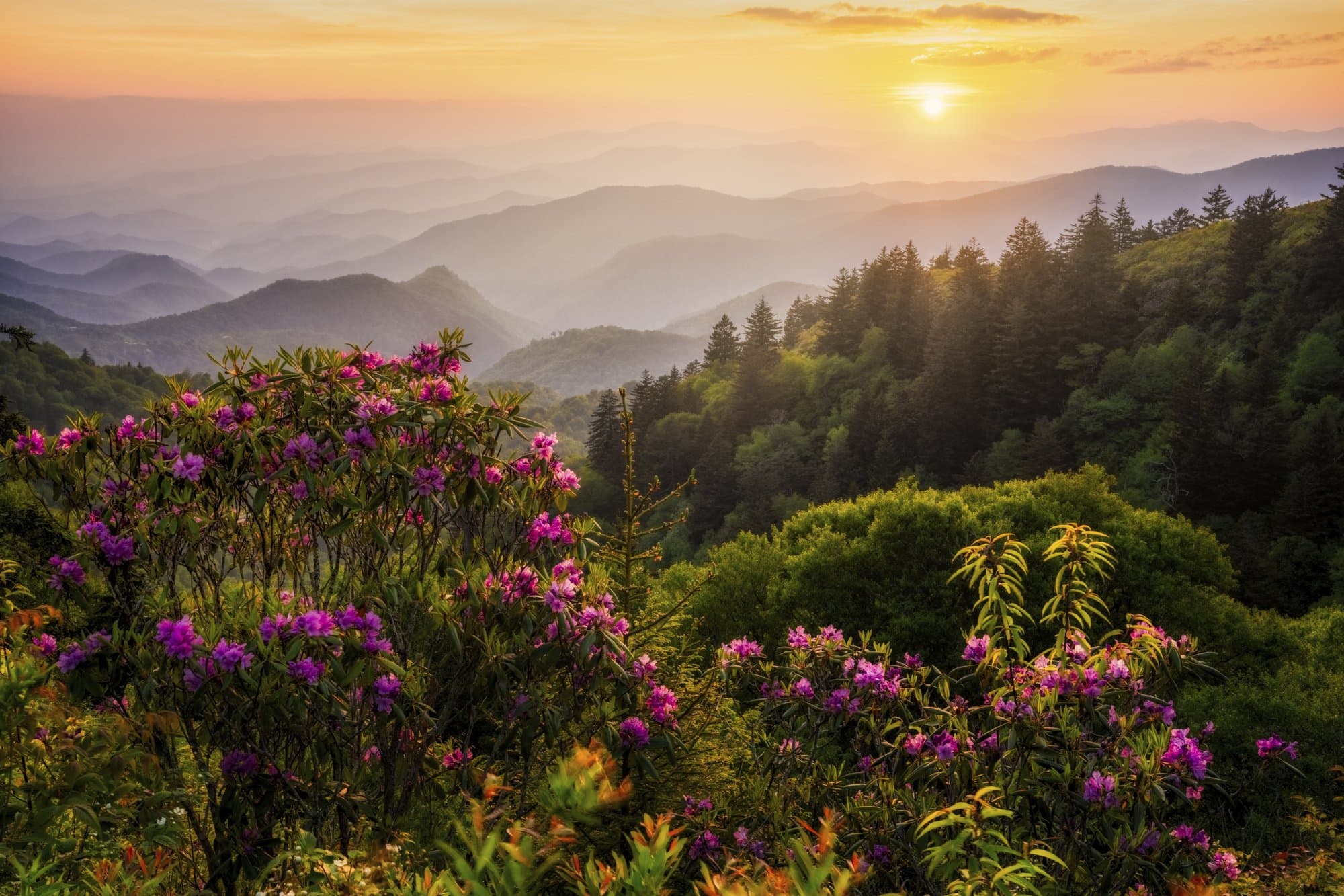 Escape to Asheville This Spring Woolyback Overlook / Photo: Luke Sutton
