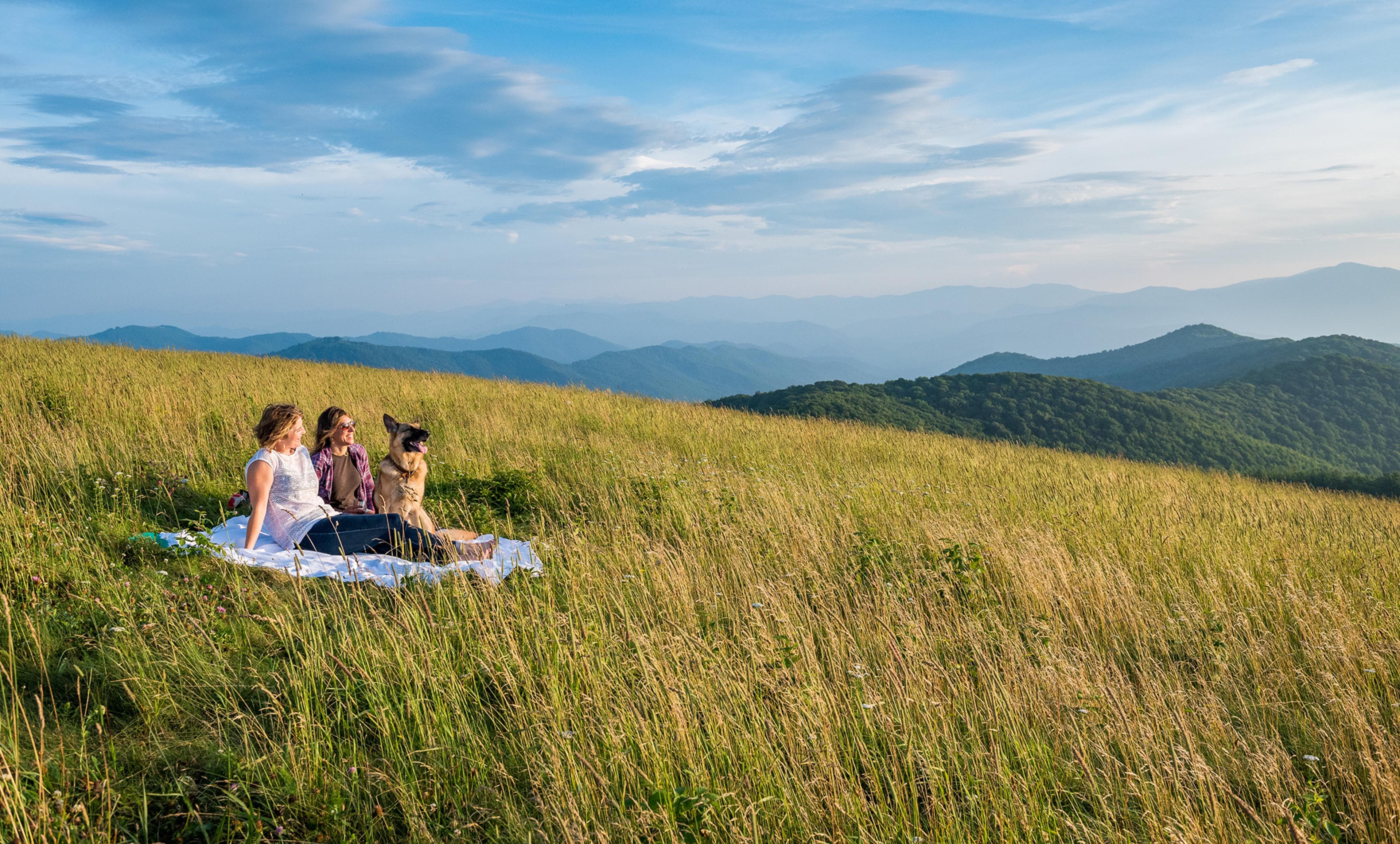 Soak Up Summer in the Blue Ridge Mountain Balds Near Asheville, NC
