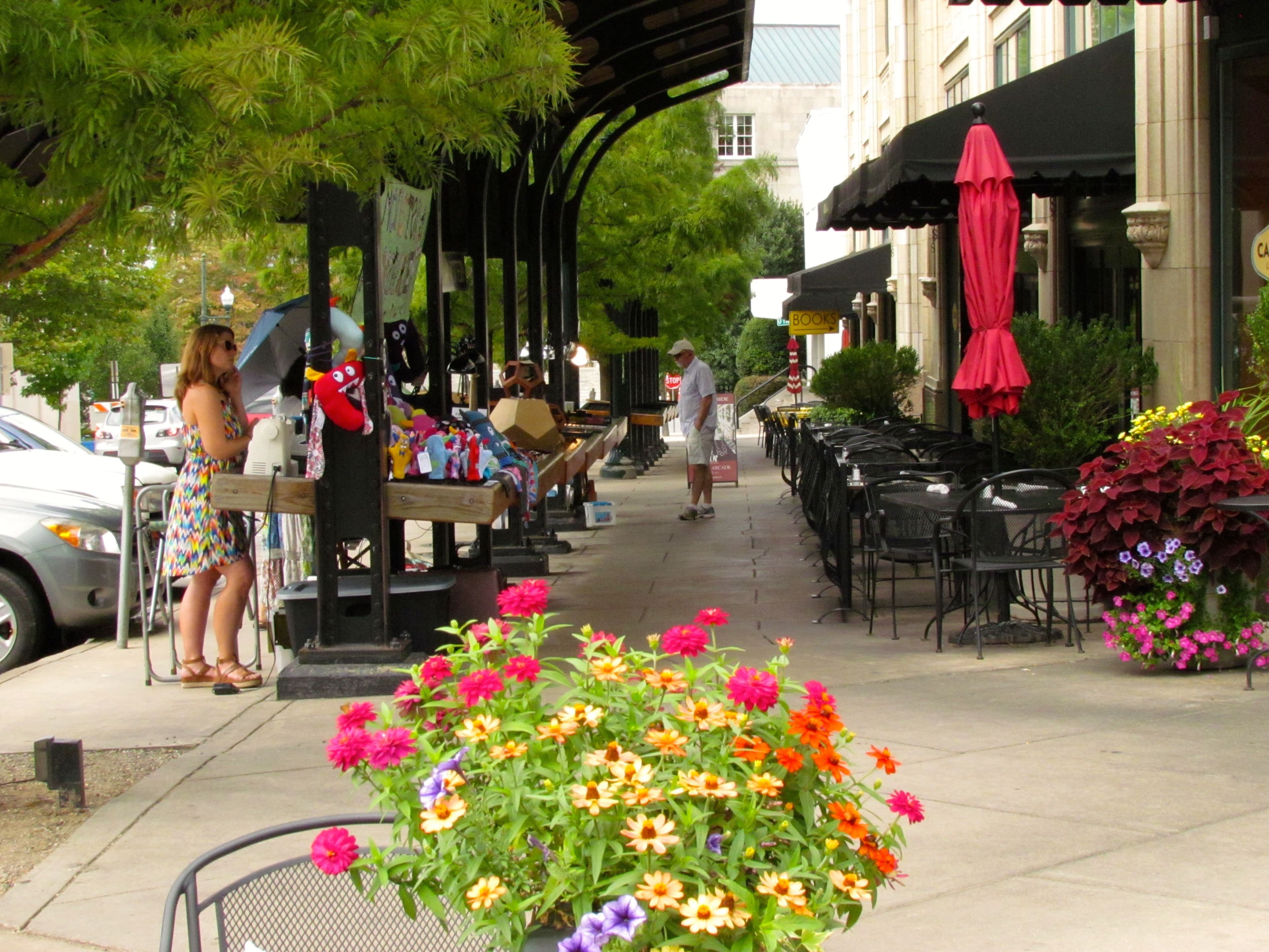 Grove's Vision Asheville's Urban Trail - Grove's Vision