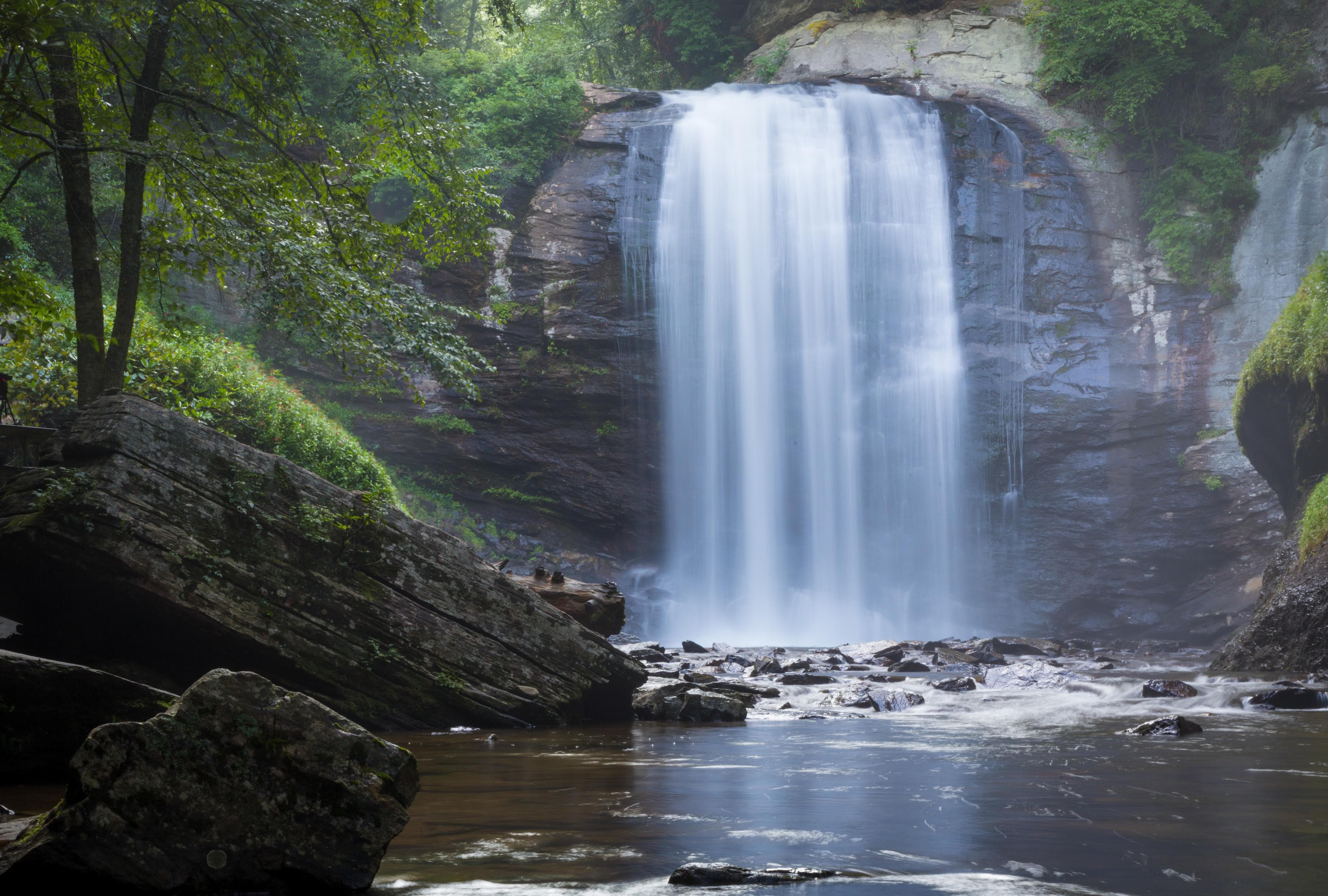 A cascading waterfall surrounded by greenery in Asheville A cascading waterfall surrounded by greenery in Asheville