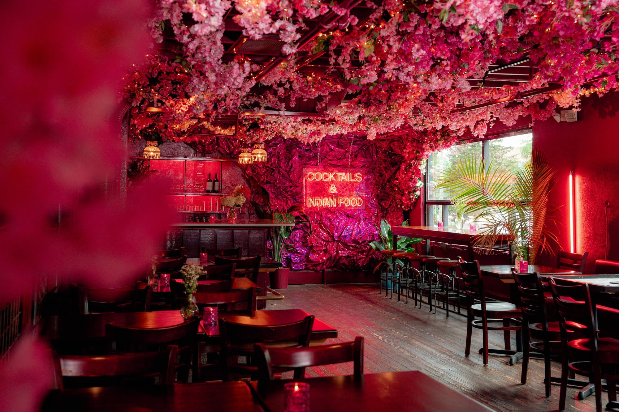 Dining in Downtown Asheville Chai Pani Restaurant / Photo: Savannah Bockus