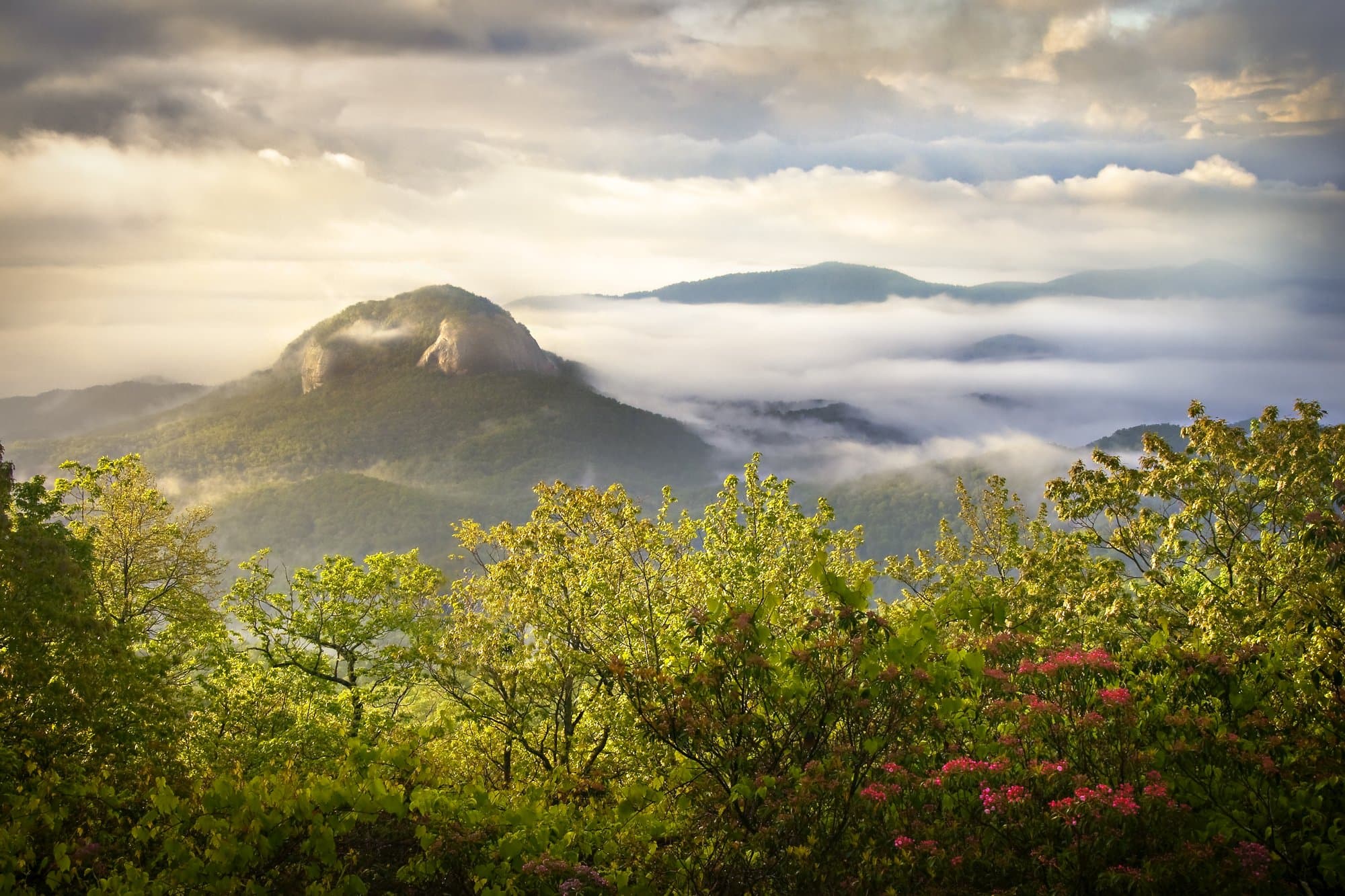 Looking Glass Rock Trail Looking Glass Rock / Photo: Dave Allen