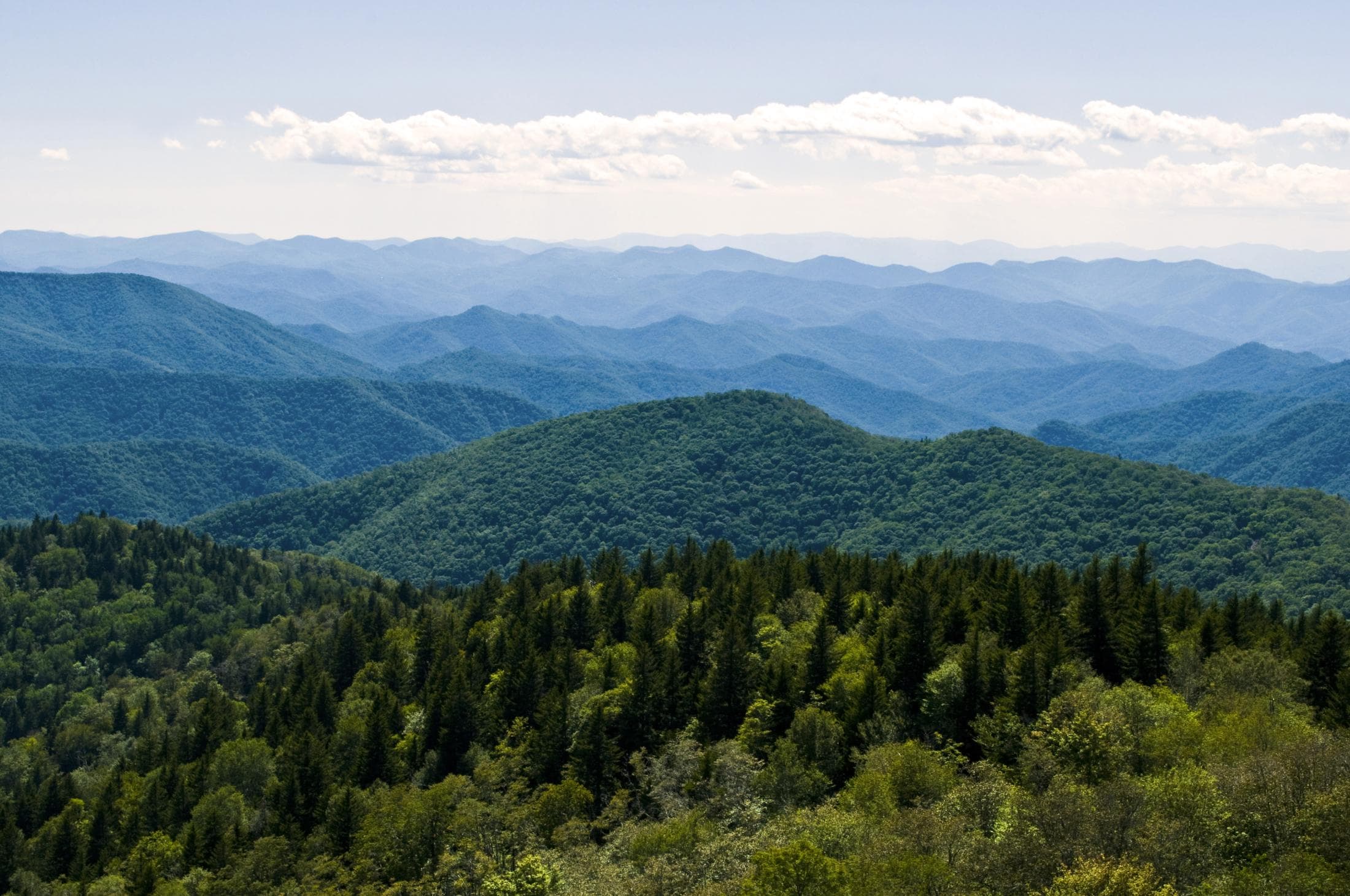 Cowee-Mountains-Overlook / Photo: Vicki Dameron Cowee-Mountains-Overlook / Photo: Vicki Dameron