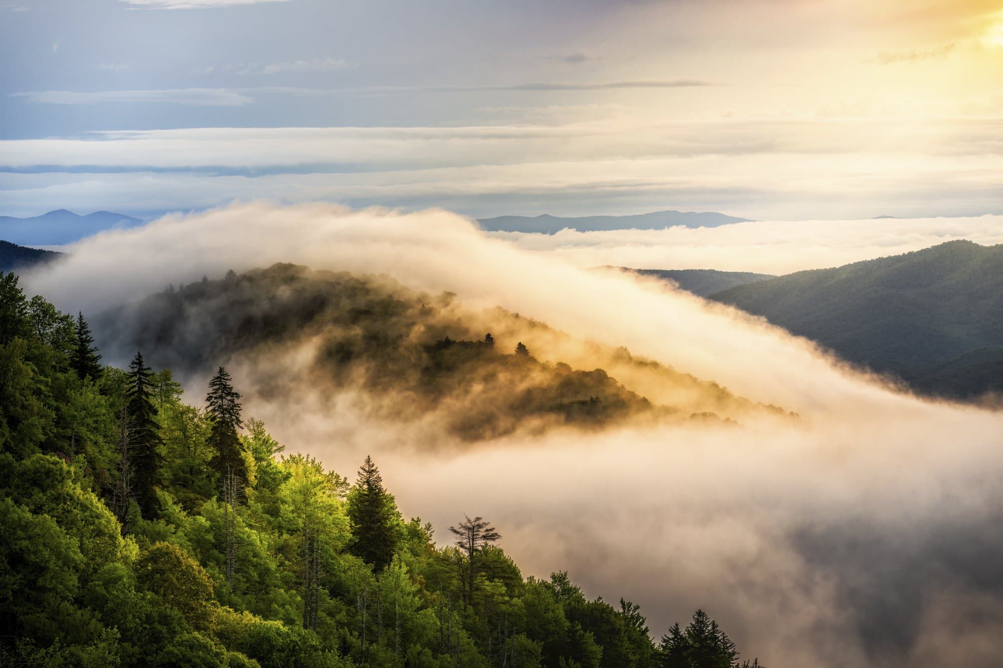 Meeting Case Study: Climate Adaptive Design Symposium Thermal inversion in the Blue Ridge Mountains