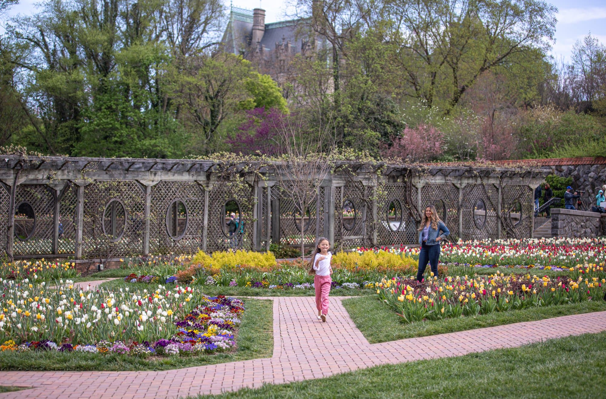 Spring Blooms and Summer Adventures in Asheville Biltmore Blooms