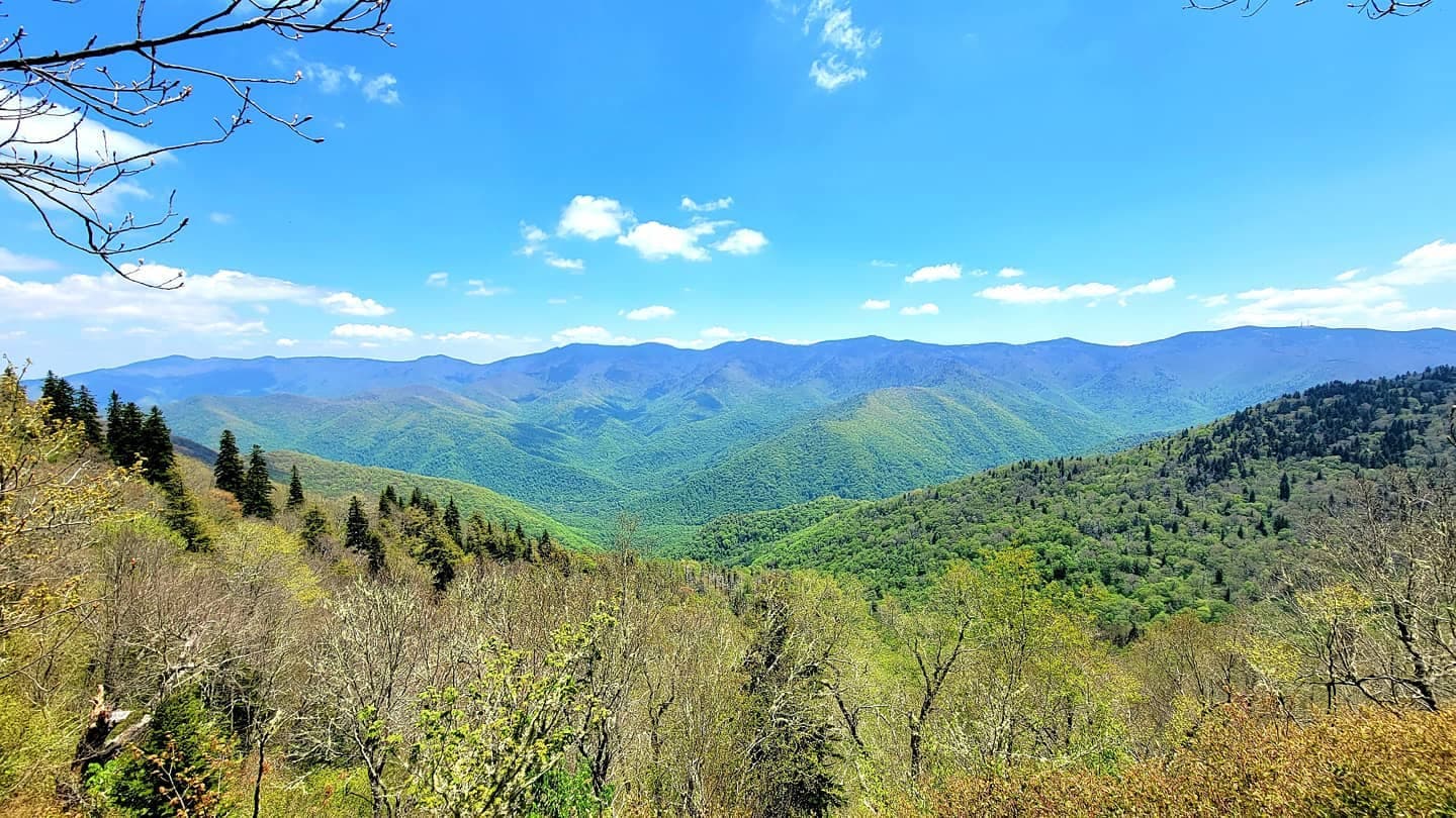 Big Butt Trail on the Blue Ridge Parkway Big Butt Trail / Photo: @zgr322