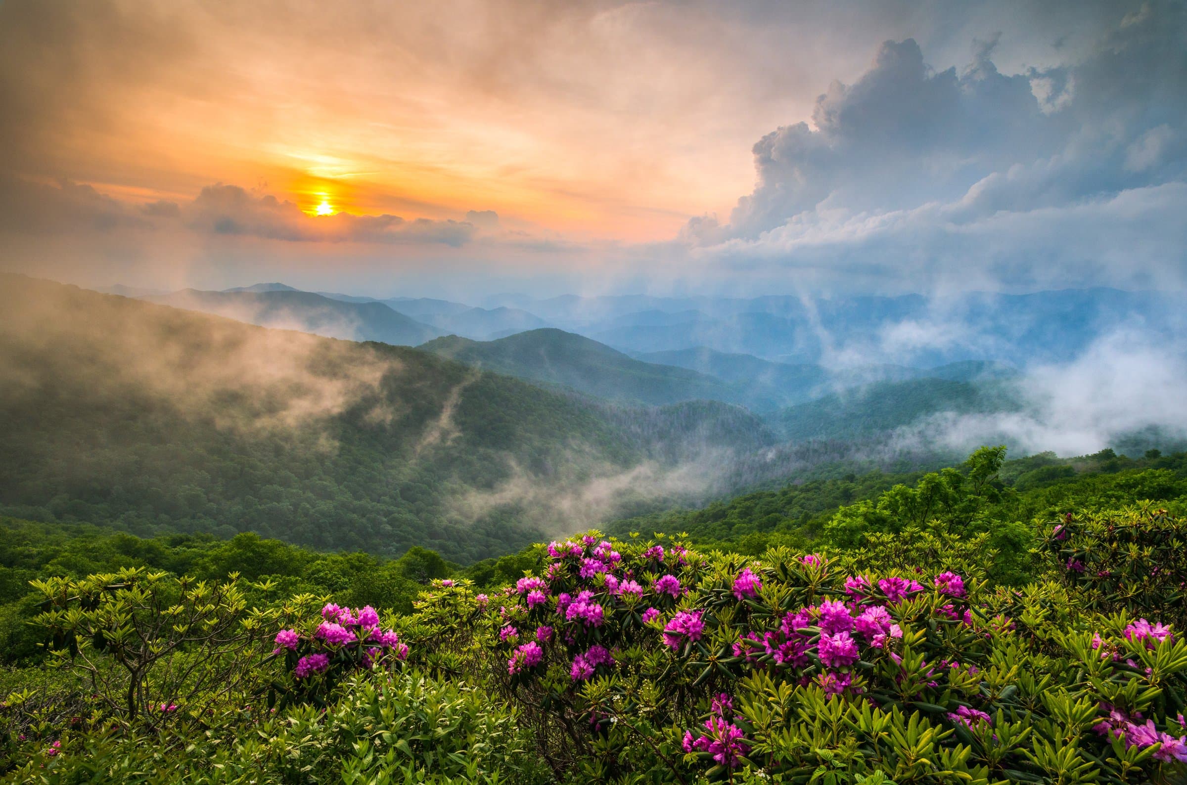 Spring in Full Bloom Spring the Blue Ridge Mountains