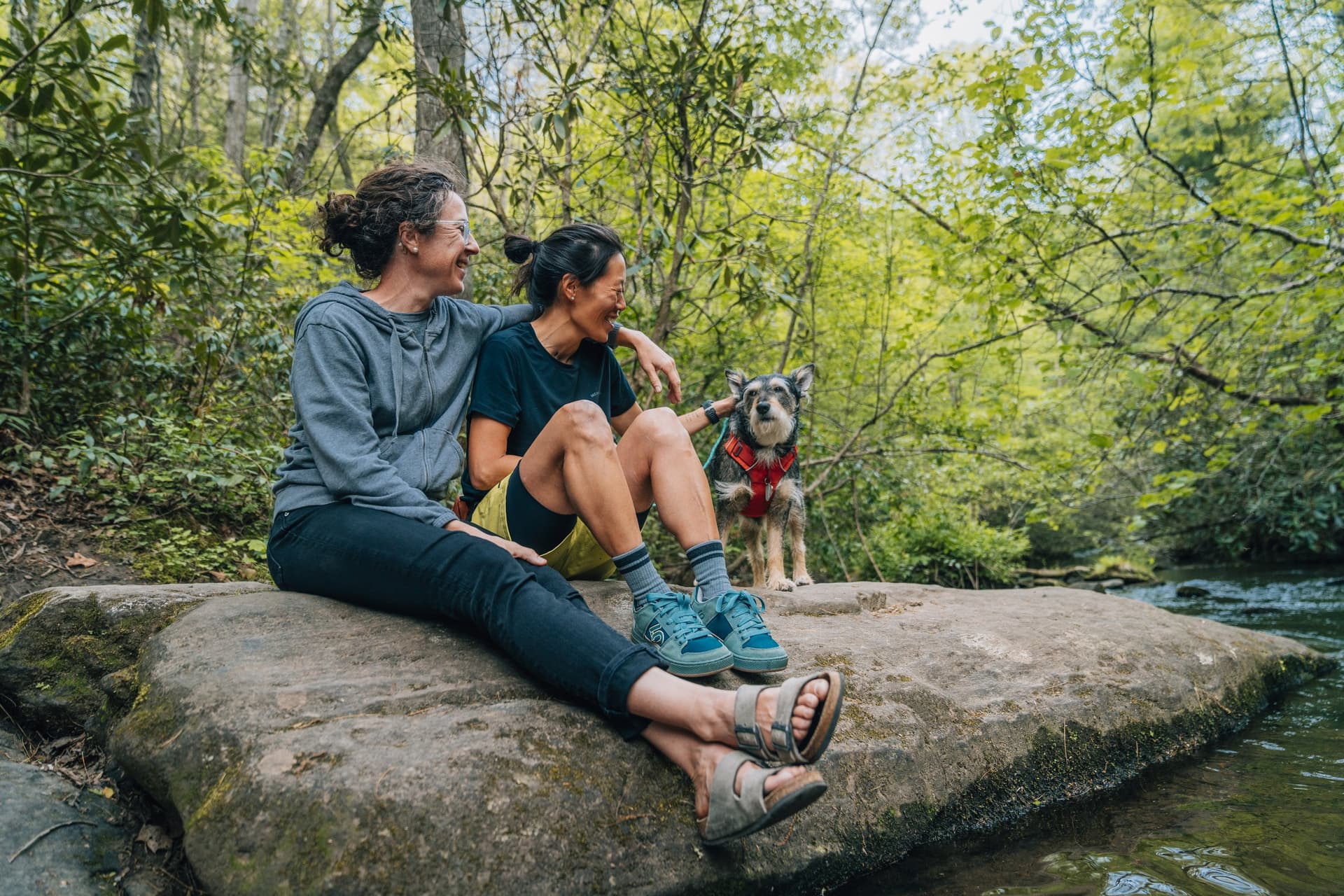 Spring Hikes Spring Hikes