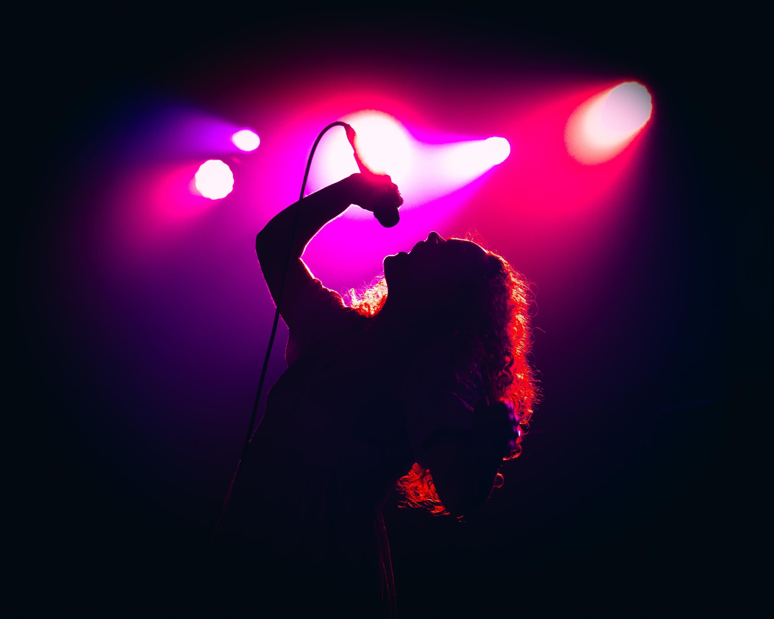 Festivals & Cultural Events Support Fund The Heavy Heavy at AVLFest / Photo: Fiasco Media