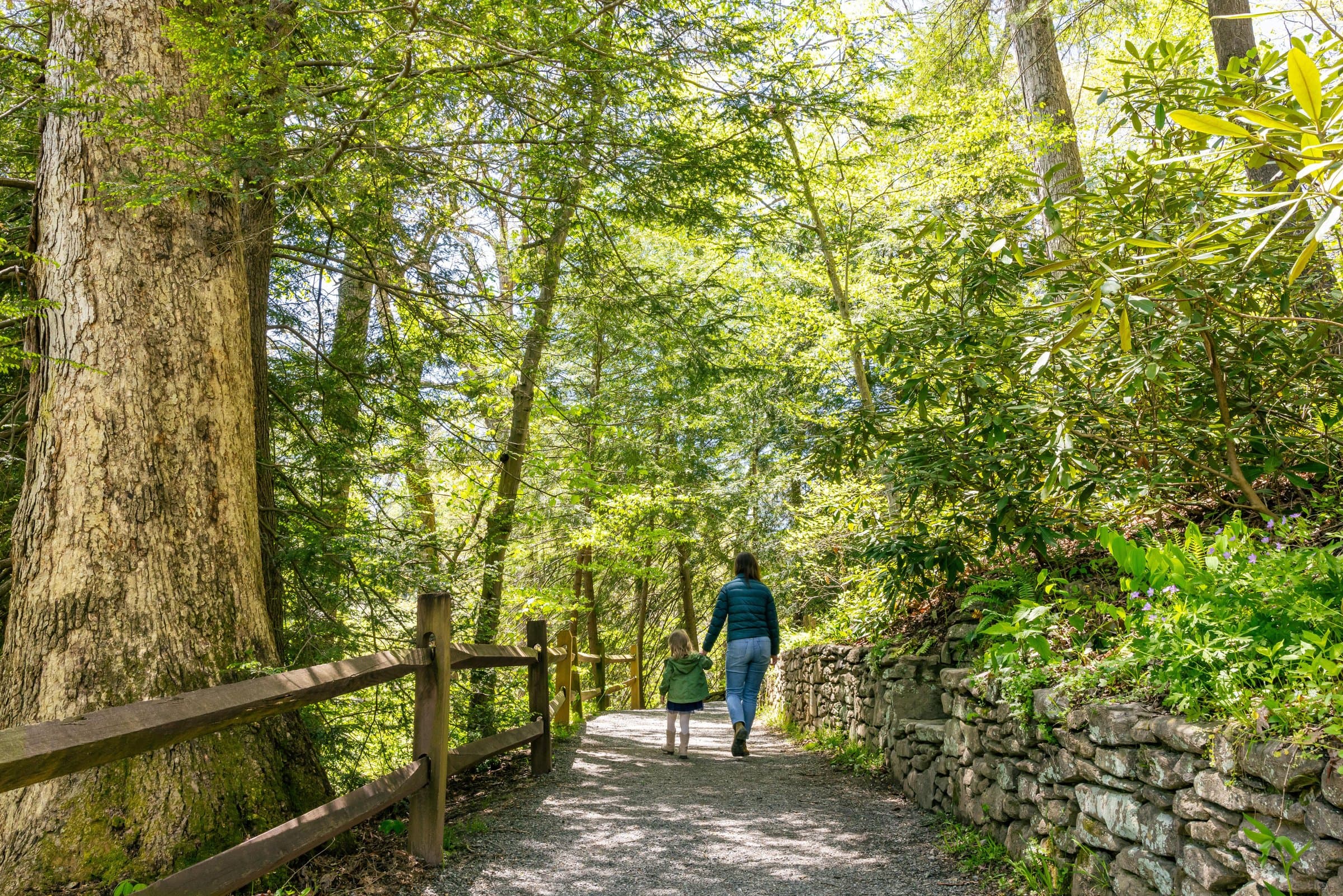 5 Great Places to Take a Walk in Asheville Asheville Botanical Gardens