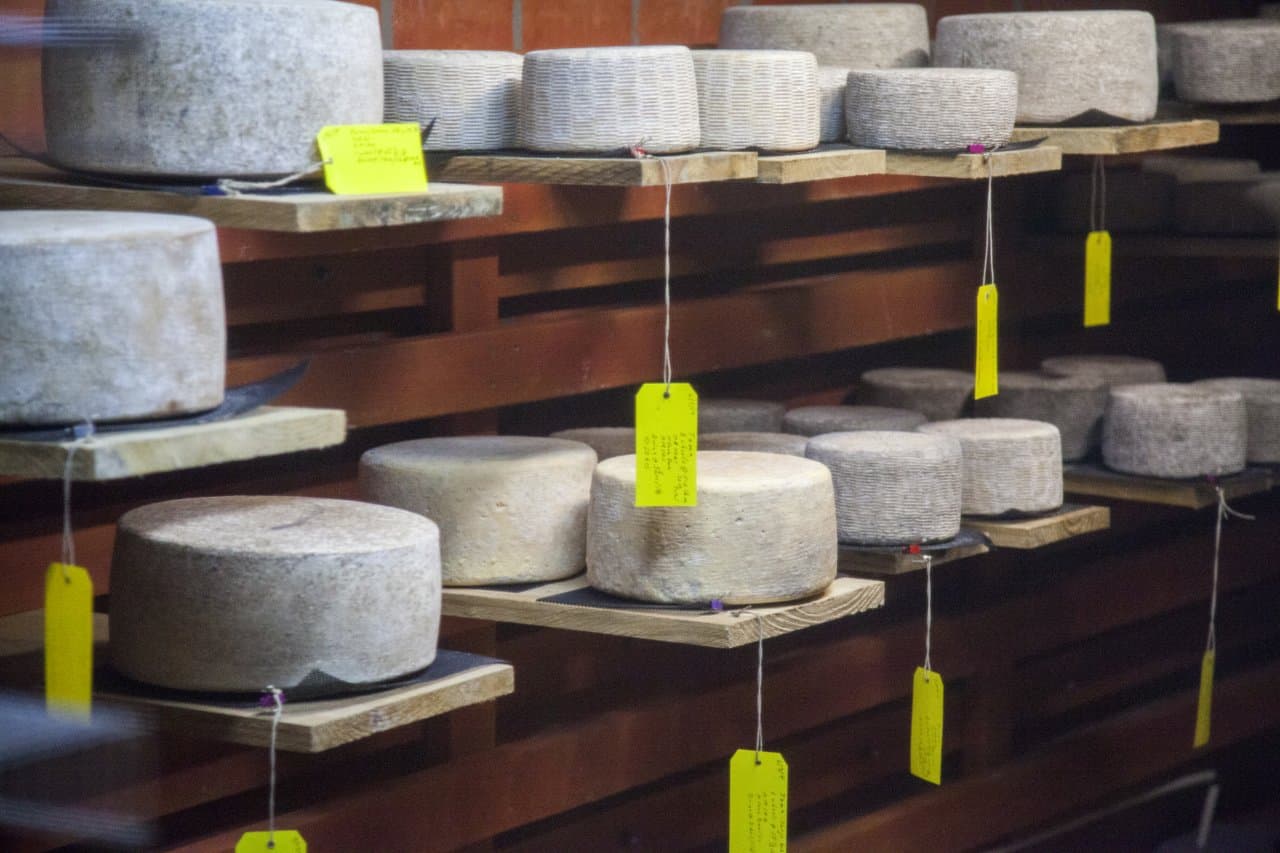 Cheese Trail Cheese Trail