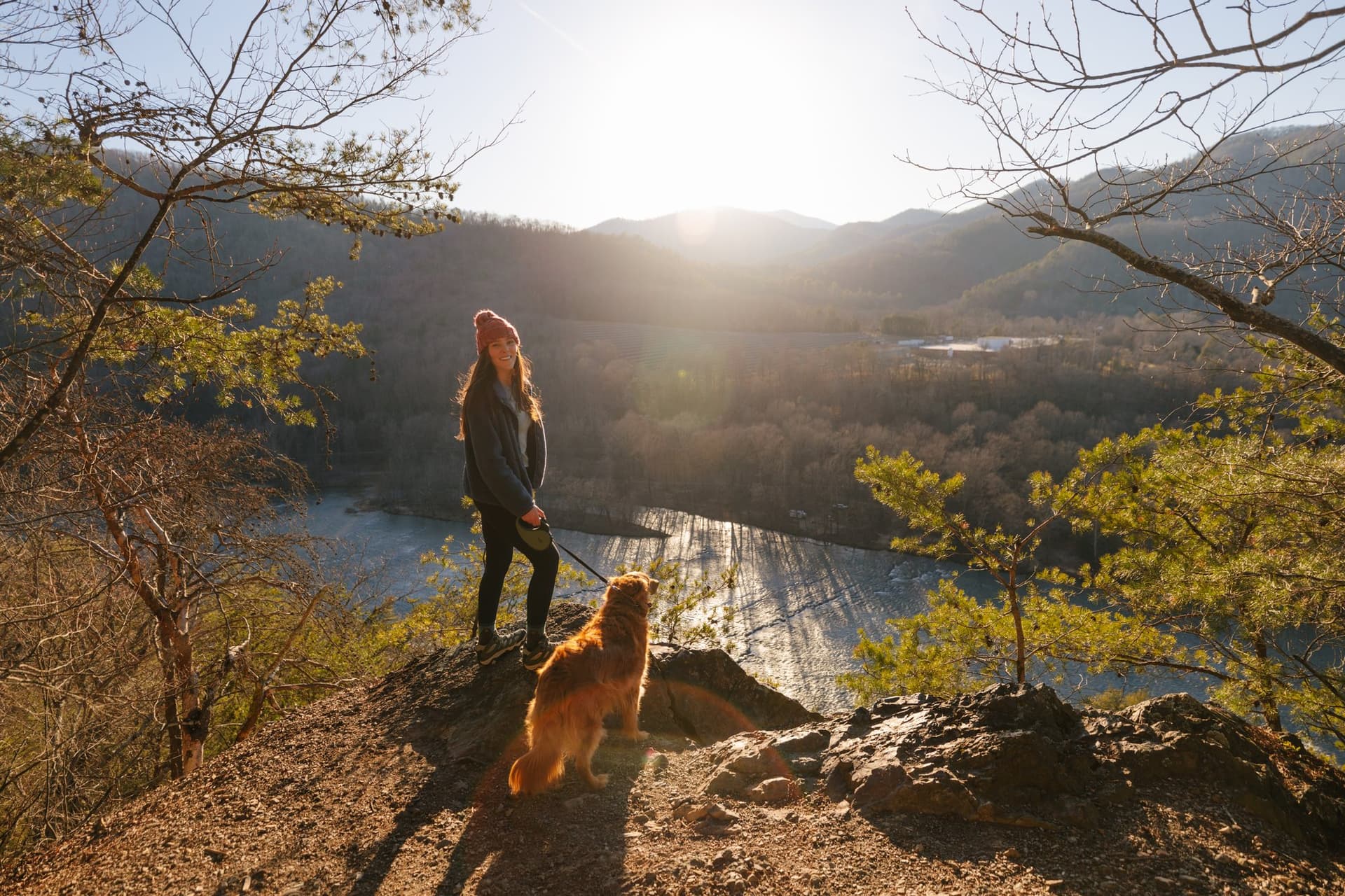 Dog on a hike / Photo: Rachel Pressley Dog on a hike / Photo: Rachel Pressley