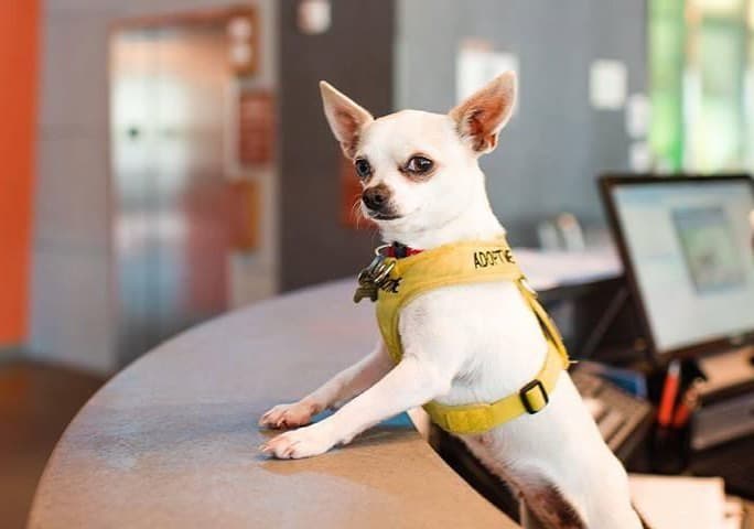 Aloft Hotels Aloft Hotels