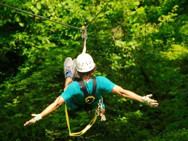 exploreasheville.com exploreasheville.com