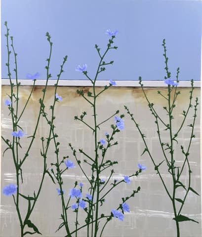 exploreasheville.com exploreasheville.com