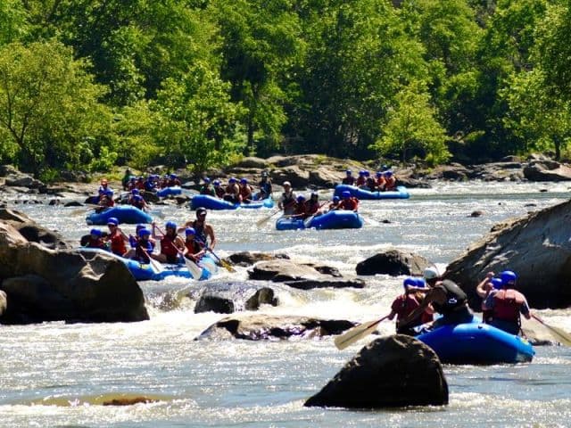 exploreasheville.com exploreasheville.com