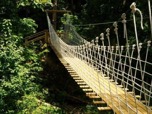 exploreasheville.com exploreasheville.com