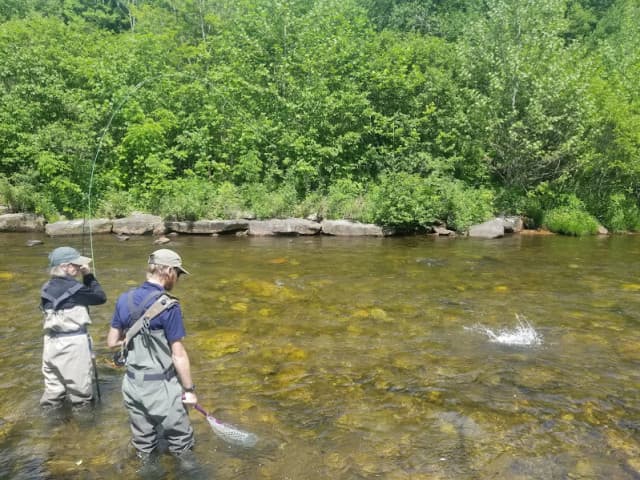 exploreasheville.com exploreasheville.com