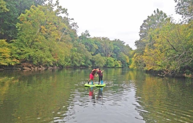 exploreasheville.com exploreasheville.com