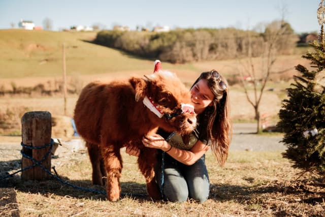 exploreasheville.com exploreasheville.com