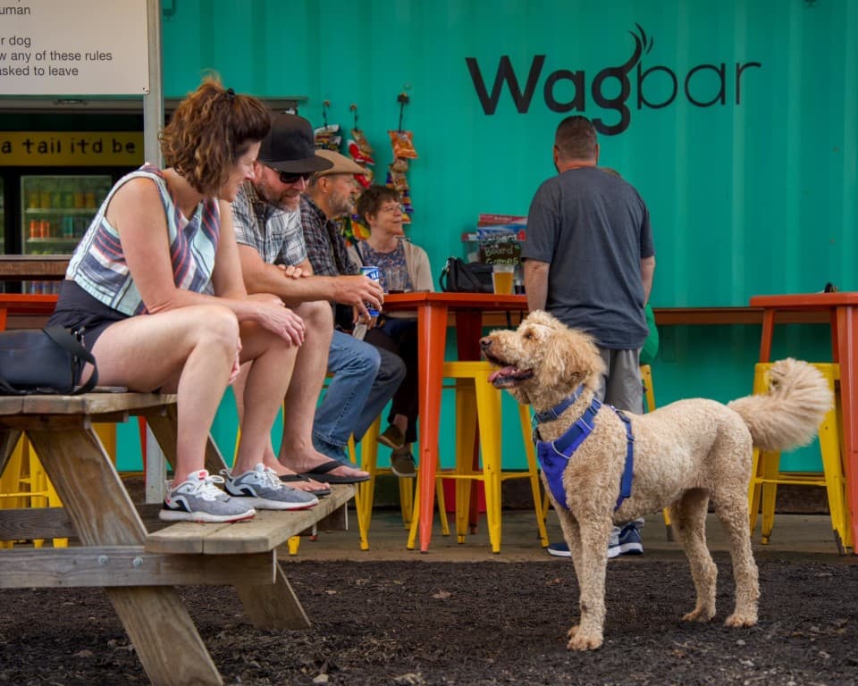 exploreasheville.com exploreasheville.com