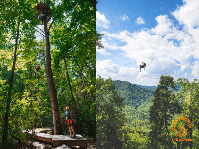 exploreasheville.com exploreasheville.com