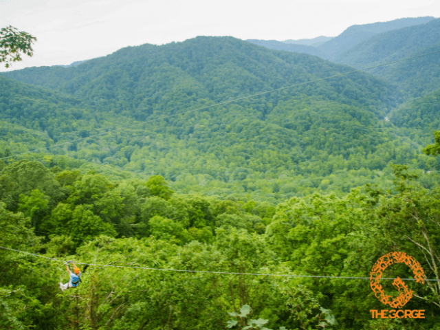 exploreasheville.com exploreasheville.com