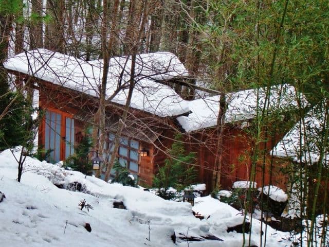 exploreasheville.com exploreasheville.com