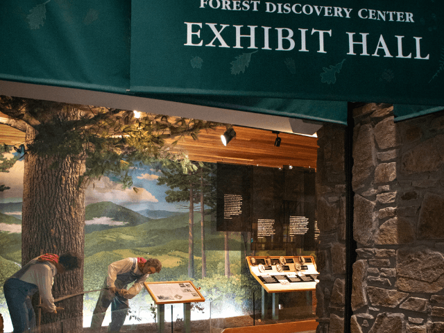 exploreasheville.com exploreasheville.com