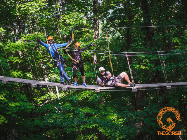 exploreasheville.com exploreasheville.com