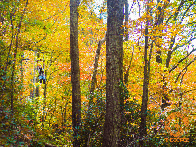 exploreasheville.com exploreasheville.com