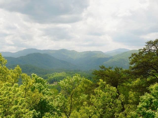 exploreasheville.com exploreasheville.com