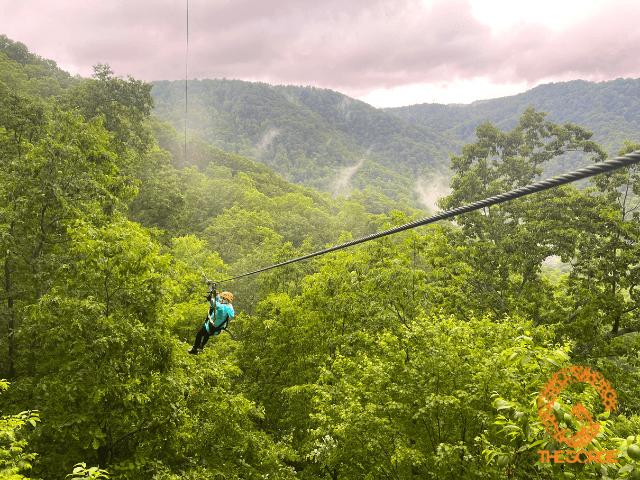 exploreasheville.com exploreasheville.com