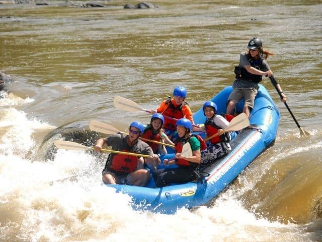 exploreasheville.com exploreasheville.com