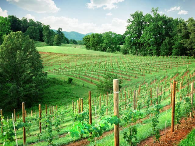 exploreasheville.com exploreasheville.com