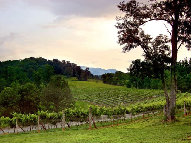 exploreasheville.com exploreasheville.com