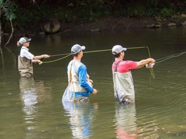 exploreasheville.com exploreasheville.com